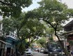 Cực hiếm đất mặt phố cạnh hồ hale mặt tiền 7m 105 tỷ 1 sổ...