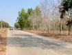 Bán đất 2 mt tân thành 43 bắc tân uyên btu tp. hcm ...