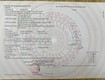 đất đẹp giá tốt chính chủ cần bán lô đất phú giáp ...