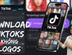 Giải pháp tải video tiktok số lượng lớn không dính logo