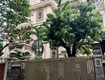 Biệt thự 4 tầng, 308m2 kđt linh đàm, mặt tiền 14m, giá 72 tỷ