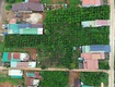 Bán đất thổ cư trung tâm xã di linh 