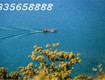 Hòa bình: từ top điểm đến thế giới đến biểu tượng nghỉ dưỡng mới ...