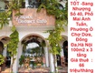 Mặt bằng đẹp  giá tốt  sang nhượng số 40, phố mai anh tuấn, phường ô chợ...
