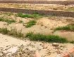 đất đẹp   giá tốt   cần bán nhanh lô đất vị trí...