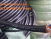 Cáp điều khiển chống nhiễu sangjin 4 2.5 