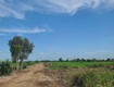 Hót  bán gấp 2 hecta đất nông nghiệp mt kênh đông củ chi, , giá đầu tư...
