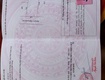 Chính chủ cần bán 4 lô đất thôn 9,xã thủy phù ,thị xã hương thủy,tp. huế