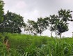 Hàng mới tinh chủ bán gấp 2 lô đất tiềm năng tại...