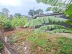 Đất 2 mh 137m2, tách thửa ok an phú đông 9 q12