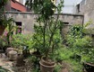 Hót nhất thanh văn thanh oai 445m chỉ nhỉnh 20 tỷ vây quanh là các dự...