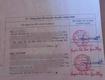 Cc em cần bán dt 66m full tc xã xuân mai ô tô đỗ cửa giá...