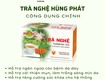So sánh trà nghệ: lựa chọn thức uống phù hợp cho sức khỏe 