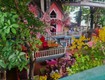 Bán quán cafe  phố xưa  ngang 24m 3 lầu sân vườn 624m2 mtkd nguyễn ảnh thủ...