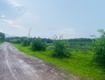 Bán 2557m2 đất tân hà, hàm tân giá ngộp chỉ 36tr/m ngang 2 mặt đường 