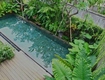 Cung cấp cây xanh công trình ở hcm, đồng nai giá rẻ