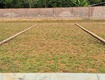 Bán lô đất 100m2 cổ đông full thổ cư sổ đỏ sẵn ...