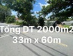Đất nguyễn thị na đông thạnh hóc môn hồ chí minh 1973m2 có 16,5 tỷ