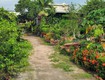 Đất vườn hxt 722m2, nở hậu xuân thới thượng 2 hm