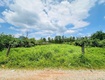 Bán 1008m2 đất ont tân nghĩa   hàm tân chính chủ giá rẻ gần trung tâm 