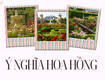 Ý nghĩa hoa hồng trong cuộc sống 