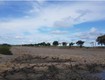 Bán đất 3 mặt tiền dương văn hạnh, lý nhơn, cần giờ 13000m2