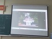 Máy chiếu dạy học giá rẻ Hà Nội 