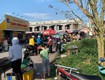 Chính chủ cần bán lô đất khu đô thị chợ chiều xã nghĩa minh, nghĩa hưng, nam định...