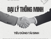 Wely chuyển nhượng mô hình: Đại lý thông minh   Tiêu dùng tái sinh 
