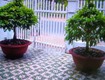 Bán nhà mặt phố đường tôn đức thắng sa đéc lá phổi xanh ngay lòng thành phố...