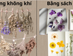 Khám phá 5 công dụng của hoa lavender khô cùng Nhà Hoa Nhỏ 