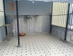 Bán nhà hẻm khuông việt phường phú trung, quận tân phú giá tốt chỉ...