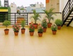 Bán nhà quận 3   hẻm ô tô trần văn đang   5.9 x 7.4 m...