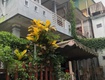 bán nhà 2,5 tầng kiệt võ thị sáu   phú hội   trung tâm phố tây...