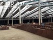 Bán nhà máy gạch công nghệ hoffman phước vinh tây ninh đt 788, huyện châu...