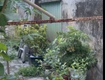 Lô đất kiệt lê duẩn . dt:63m . ngang 4m3 