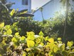 Bán lô đất mặt tiền đường lê trọng tấn 