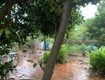 Cần bán 438M2ddaats Nguyễn Khoái Hoàng Mai 30M ra phố ô tô vào đất full thổ cư giá...