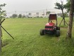Dịch vụ cắt cỏ chuyên nghiệp giá rẻ ở hcm, đồng nai 