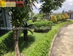 Cắt tỉa cây xanh định kỳ cho biệt thự, công ty, nhà máy   Gọi là có...
