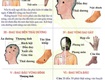 Đào tạo   Cấp Chứng chỉ Xoa bóp bấm huyệt 