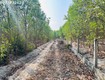 Bán 1000m2 đất tân bình, lagi giá rẻ chỉ 1 tỷ, sổ riêng gần phạm thế hiển 