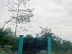 Đất nở hậu đường 8m thông 1851m2   cây gỗ cc 