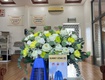 Đèn diệt côn trùng SNS 6W 
