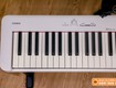 Lợi ích khi mua đàn piano Casio CDP S110 để luyện tập tại nhà 