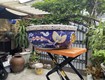 Cơ sở chậu hoa thế sơn chậu hoa dán sành sứ ...