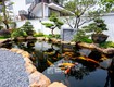 Khám phá các yếu tố tạo nên một ngôi nhà đẹp sân vườn hoàn hảo 