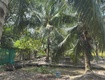Chính chủ cần bán lô đất tại phường long đức tp. trà vinh tỉnh...
