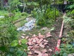 Đất thuận thành sổ đỏ chính chủ ngõ ô tô giá cực...