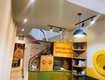 Thành thái, q10  gần vạn hạnh mall hẻm xe hơi 5m, 60m2, 2 tầng đẹp, full nội...